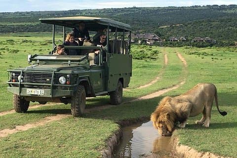 Day Safari på Pumba Private Game Reserve