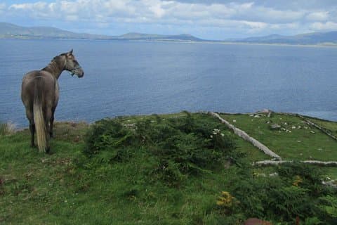 Lyxfotografiedagstur på Ring of Kerry och Skellig Ring - Fully Guided och Chauffeured