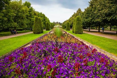 Privétour : London Regent's Park Photography Tour