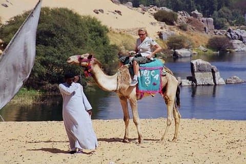 4 timers privat safari af Camel, Aswan