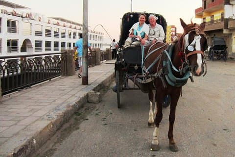 Visita della città in carrozza