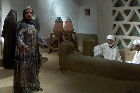 Tour privato al Museo nubiano di Assuan