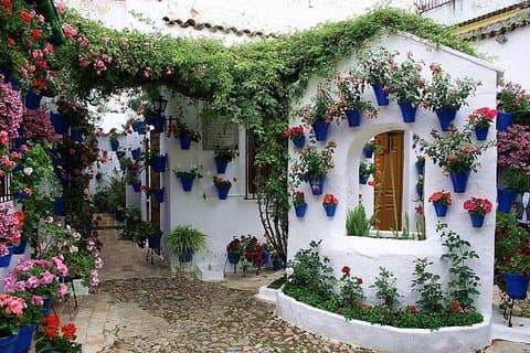 Tour dei patii e dei profumi di Cordoba