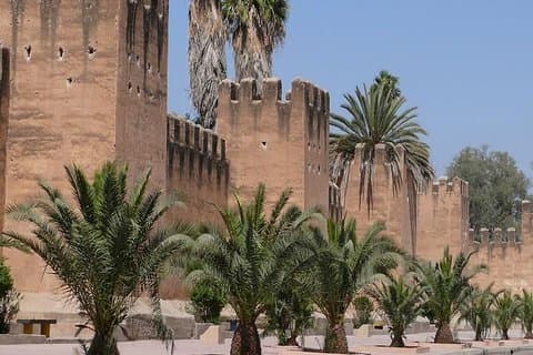 Tour privato dell'oasi di Ali Baba e della vecchia medina di Taroudant