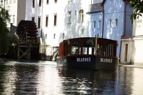 Private individuelle Halbtagestour: Prager Burg und Flusskreuzfahrt