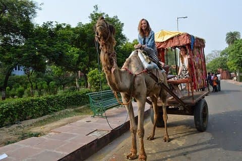 1Night & 2Days Agra & Jaipur Transport med lokal vägledning