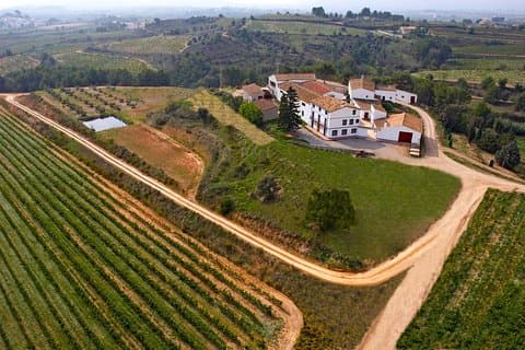 Vinsmaking og vinsmaking 3-timers tur fra Barcelona
