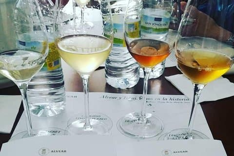 Degustação de vinhos à noite Córdoba