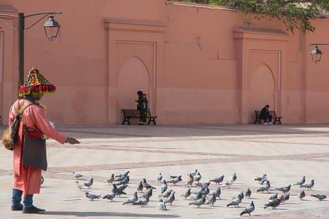 Recorrido a pie por la Medina de Marrakech