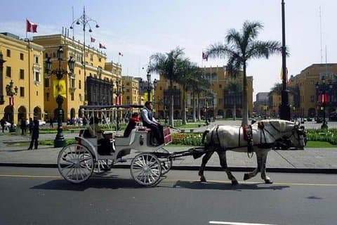 Private Lima City Tour with Larco Museum