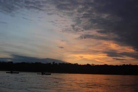 3-dags Amazon Jungle Tour på Refugio Amazonas i Puerto Maldonado