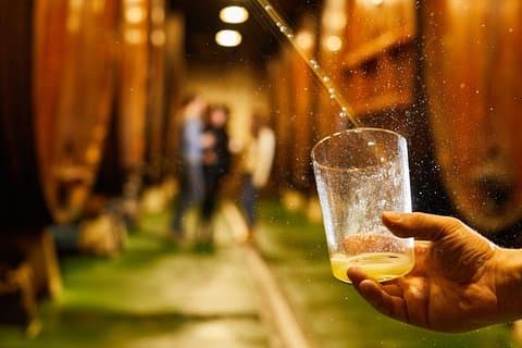Baskische ciderhuis-rondleiding + maaltijd uit San Sebastian