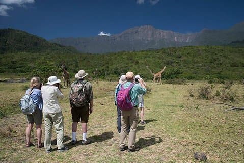 Dagsturstur til Arusha National Park