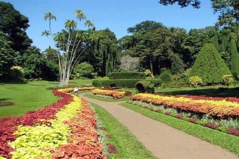 giardino botanico