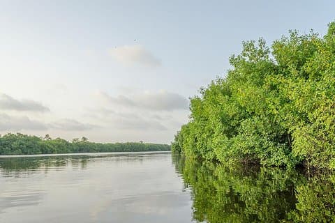 Tour privado: fauna y flora de la laguna Nichupte desde la Riviera Maya