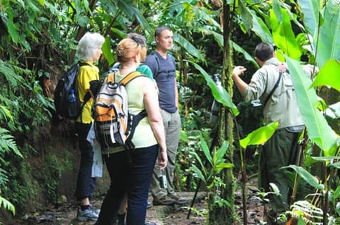Hel dag till Selvatura Monteverde Cloud Forest från Guanacaste