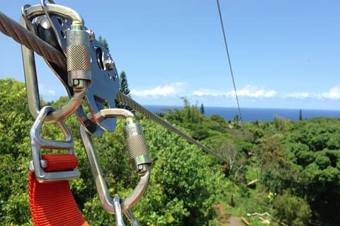 Maui Zipline Eco Adventure: 8 linjer gennem junglen
