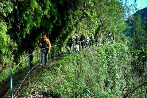 Kings Levada