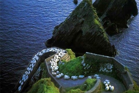 Dingle Peninsula Tour von Killarney : Inklusive Wild Atlantic Way