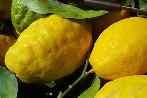 Limoncello Gør og frokost med citron base