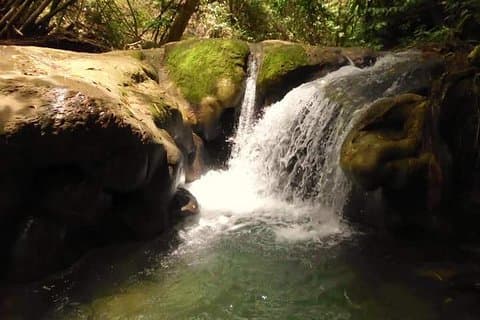 Mayfield Falls natuurwandeling