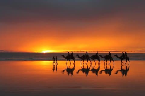 From Taghazoute : 2 Hours Agadir Camel Ride With Transfers and Tea Break