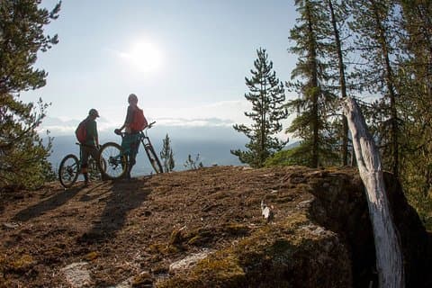 Tour de medio día en bicicleta de montaña por Whistler