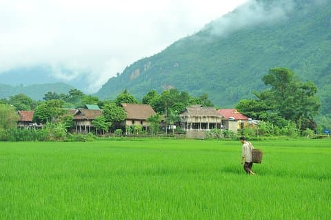 Utforsk Mai Chau 1 dag