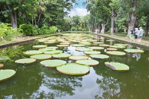 プライベートノースデーツアー：植物園、シュガーミュージアム、ラムテイスティング、ポートルイス
