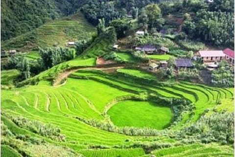 Full-Day Cykling Adventure i Sapa