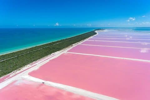 Eaux roses de Las Coloradas, Flamants roses et ville coloniale de Valladolid,