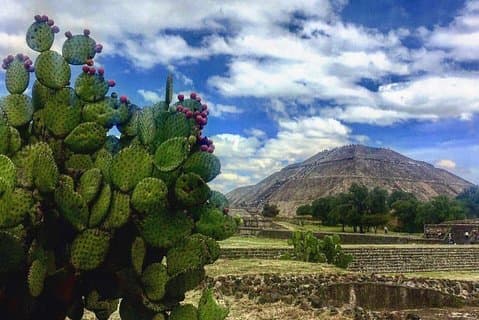 Teotihuacan og Tula Private Archaeology Tour fra Mexico City