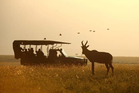 Tanzania Family Adventure Safari
