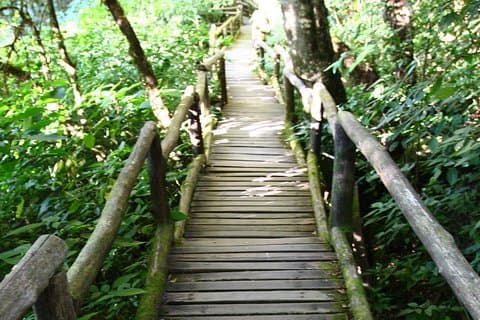 Parc national de Doi Inthanon avec déjeuner de Chiang Mai