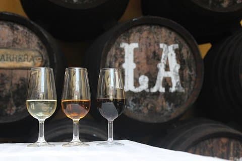 Weintour nach Sanlucar de Barrameda von Sevilla mit optionalem Reiten