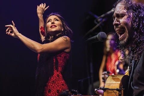Show de flamenco e excursão para grupos pequenos de tapas em Sevilha