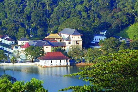 Excursión privada de un día a Kandy desde Bentota y Beruwala
