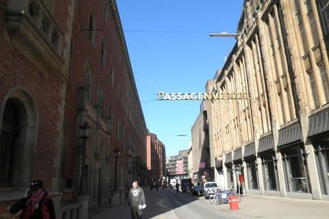 Hamborg Down Town: Historisk bycenter med rådhus (walking)