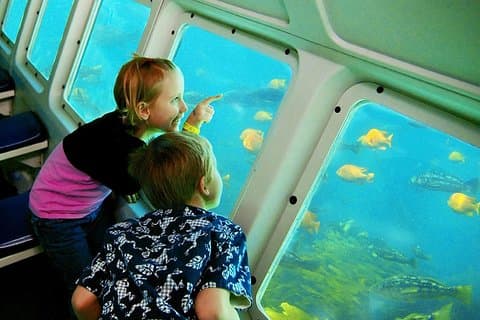 Undersea Expedition: Catalina Island Tour