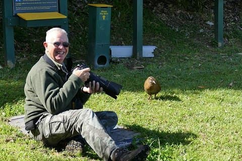 Bird Watching and Dolphin Eco-Tour to Blumine Island