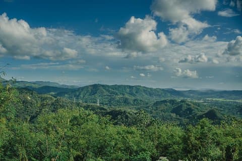Skip the Line: Hike Eat Swim at Mount Purro Nature Reserve Ticket