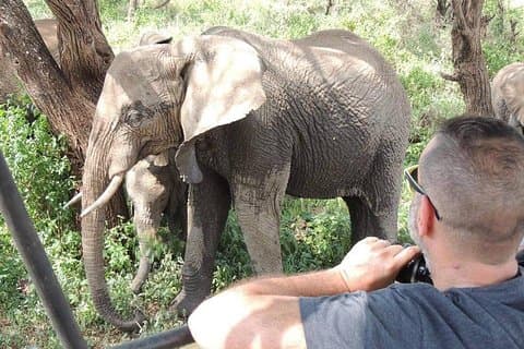 Full-Day Trip to Tarangire National Park
