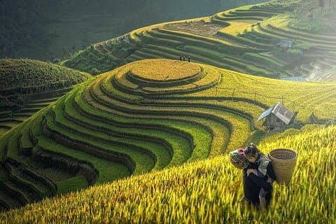 2D1N Sapa Valley – Cat Cat Village - Fansipan Legend