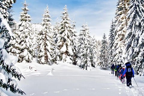 Snowshoe Through Vancouver's Winter Wonderland