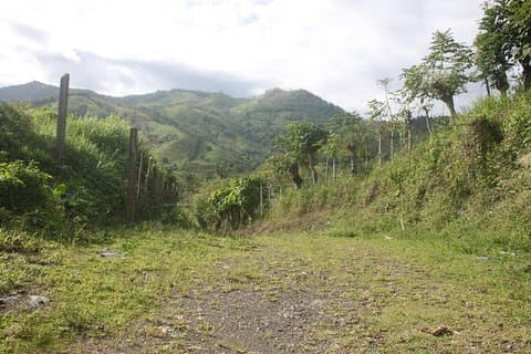 Vamos fazer caminhadas em Punta Cana