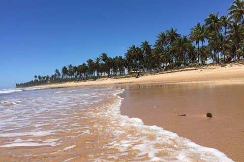 4 jours de vacances à Salvador et à la plage avec hôtel
