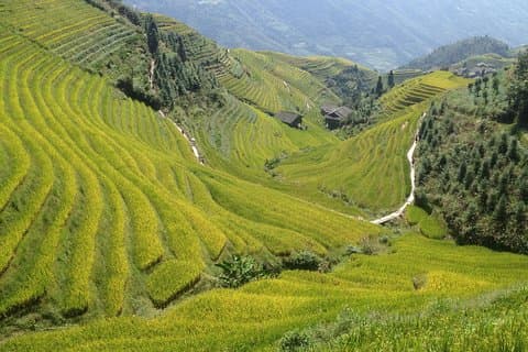 Terrazza del riso Longji - Gita di un giorno