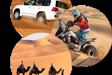 Dubai afternoon Desert Safari (Private & custom tours)
