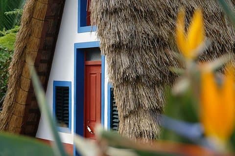 Tur til østsiden av Madeira med spasertur til Levada og lunsj