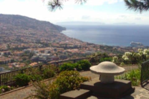 Funchal Shore Excursion: Privat Bedövning och natursköna Nuns Valley Tour